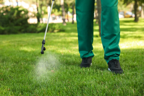 Best Emergency Pest Control  in Gloucester City, NJ