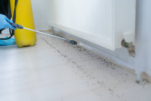 Best Residential Pest Control  in Gloucester City, NJ